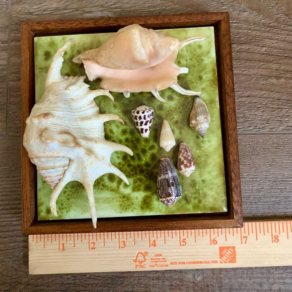 Framed Oceanside Wall Decor Seashell - Picture 5 of 10